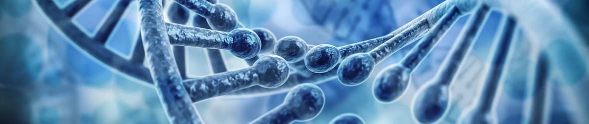 Ganzheitliche biologische Krebsbehandlung